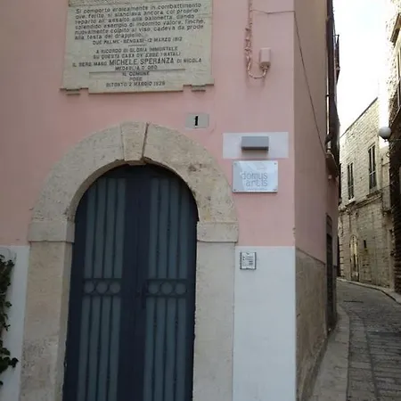 Domus Artis